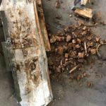 Example of a rotten wood transom